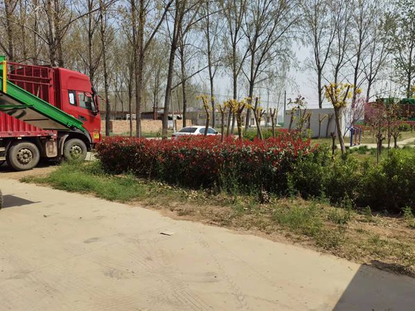 發(fā)貨現(xiàn)場 發(fā)貨現(xiàn)場